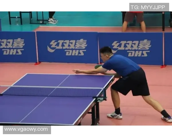 武汉乒乓球队精英赛战术解析与表现评估的深度分析