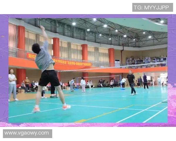 杭州羽毛球队的拼搏之路与城市联赛的荣耀时刻